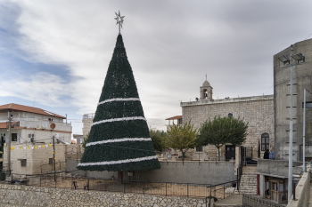 פסוטה בפסטיבל חורף זמן גליל מערבי , אתר לגדול
